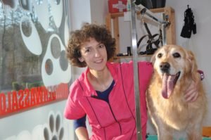 toilettage-bettina-nomd1truffe