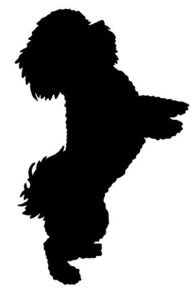 toilettage-chien-domicile-nomd1truffe-logo