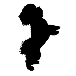 toilettage-chien-domicile-nomd1truffe-logo