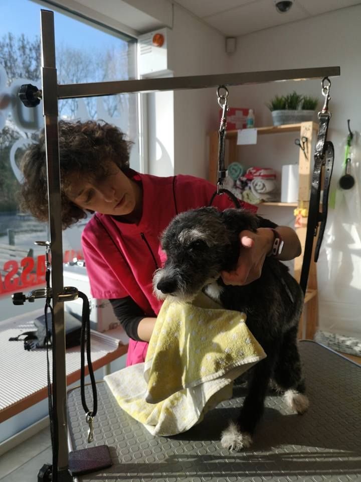 Témoignages Nom d'une truffe